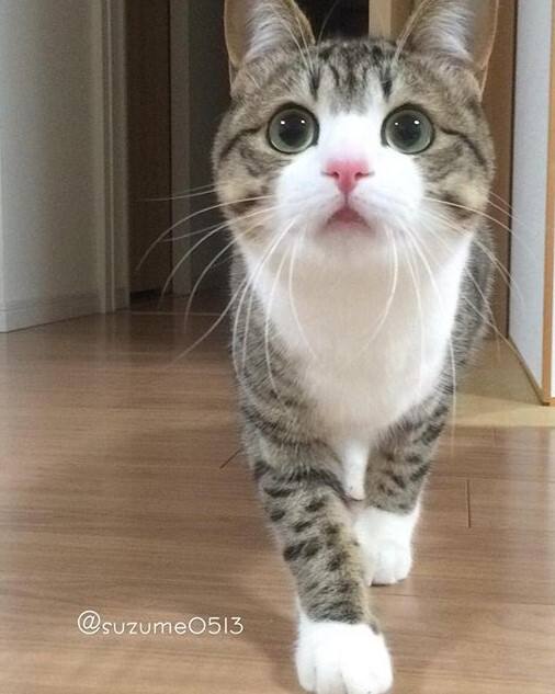 开云体育官网-?"Su;?I?)??q的简单介绍